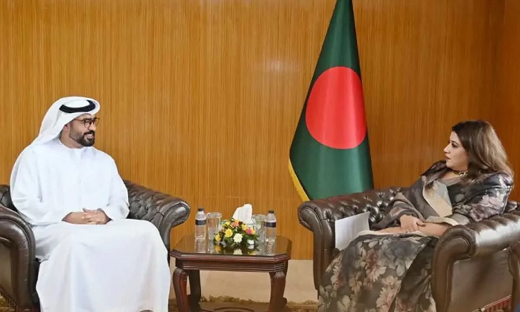 আমিরাতে বাংলাদেশিদের সমস্যা সমাধানে রাষ্ট্রদূতের সহযোগিতা কামনা প্রতিমন্ত্রীর