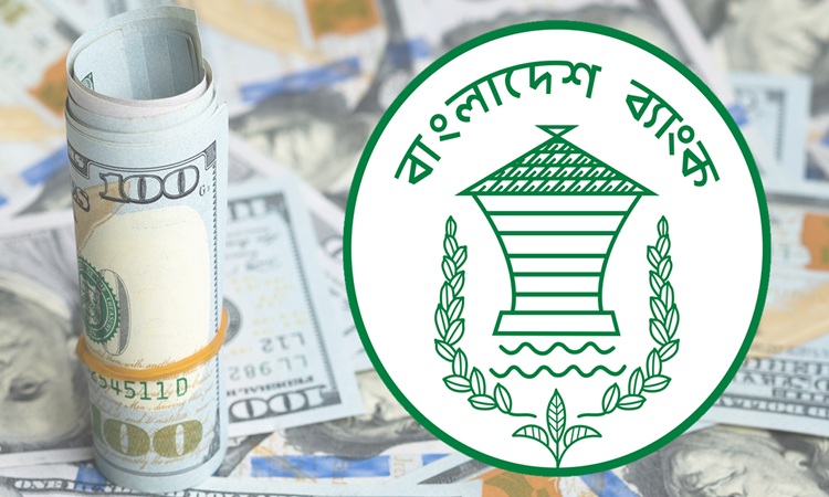 দেশের বৈদেশিক মুদ্রার রিজার্ভ আরও বাড়ল